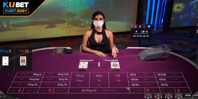 Thuật ngữ trong Rồng hổ Kubet